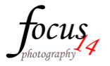 Focus_14